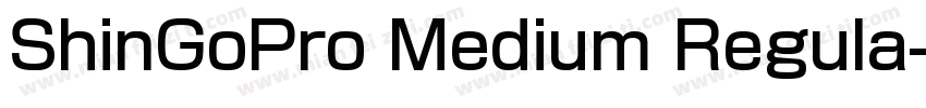 ShinGoPro Medium Regula字体转换